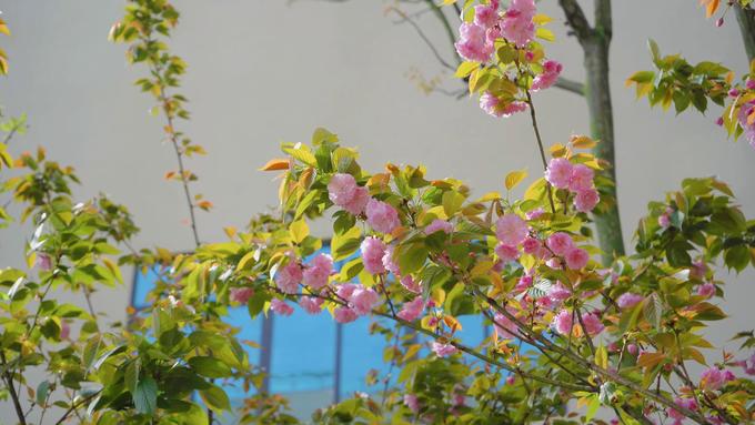 pp电子(中国)官方网站