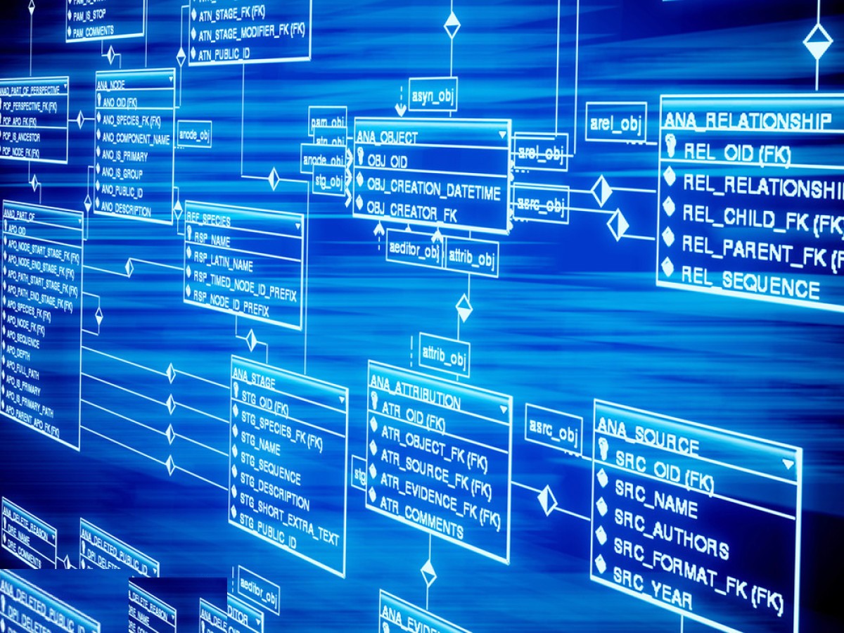 pp电子(中国)官方网站