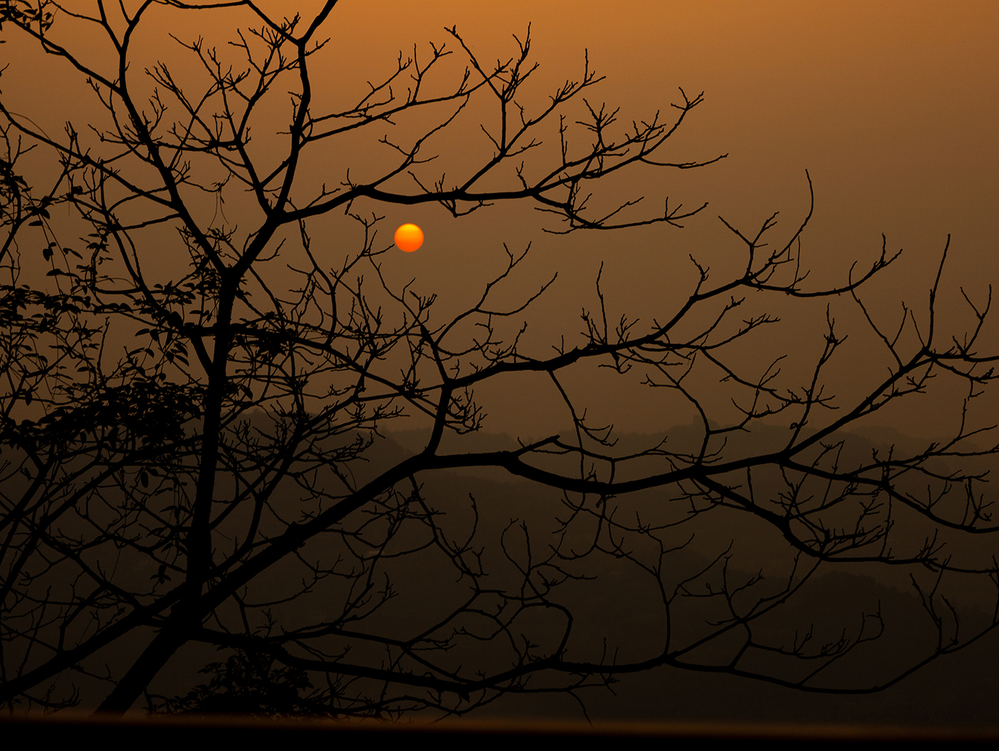 pp电子(中国)官方网站