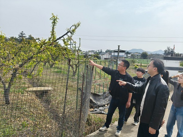 pp电子(中国)官方网站