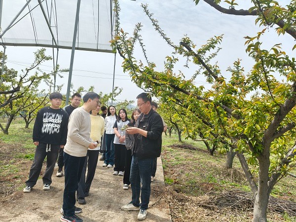 pp电子(中国)官方网站